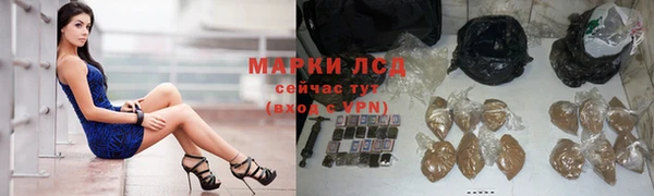 ПСИЛОЦИБИНОВЫЕ ГРИБЫ Дмитриев