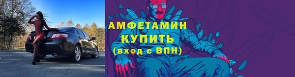 ПСИЛОЦИБИНОВЫЕ ГРИБЫ Дмитриев