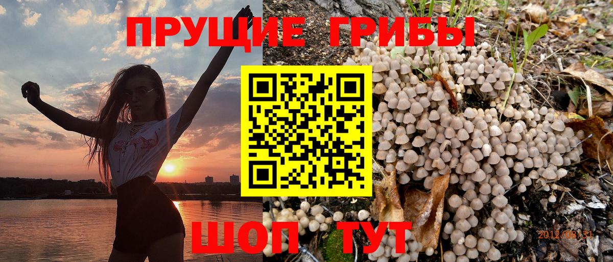 Псилоцибиновые грибы MAGIC MUSHROOMS Еманжелинск
